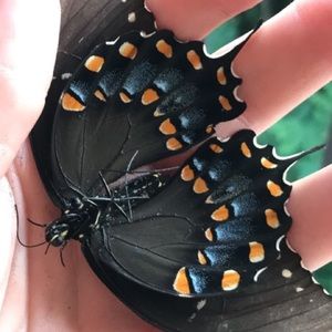 Meet your Posher, Madeline